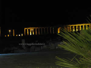 Palmyra notte